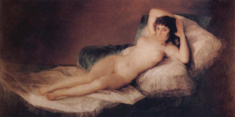 Francisco Jose de Goya The Naked Maja Spain oil painting art